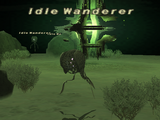 Idle Wanderer