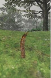 Carrion Worm