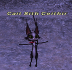 Cait Sith Ceithir (battle)