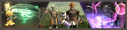 New Beginnings in Vana'diel Support Campaign