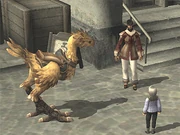 Your Own Personal Chocobo