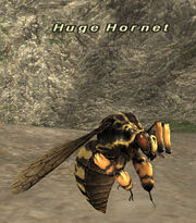 Huge Hornet