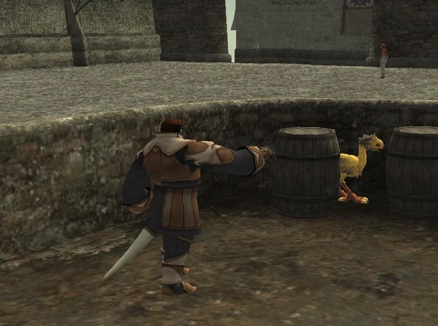 Chocobo Raising/Interact with Children FFXIclopedia Fandom