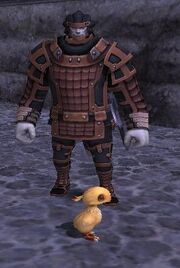 Chick costume