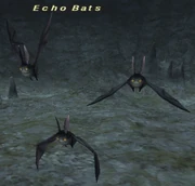 Echo Bats