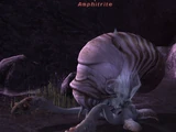 Amphitrite