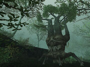 Mature Treant