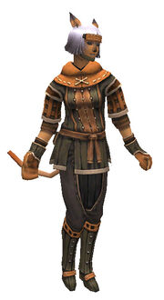 Cloth Doublet Set.jpg