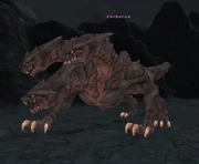 Cerberus