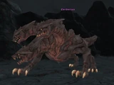 Cerberus