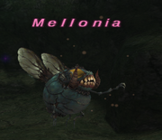 Mellonia