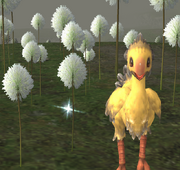 ChocoboFoundItem