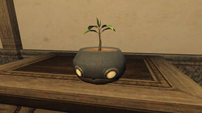 Korrigan Pot ingame.jpg