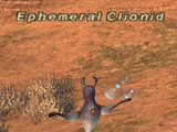 Ephemeral Clionid