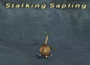 Stalkingsapling