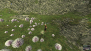Geo-regen.png