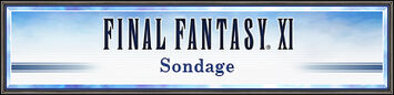 FINAL FANTASY XI - Sondage