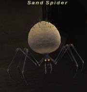 Sandspider