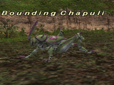 Bounding Chapuli