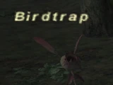 Birdtrap