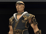 Tantra Attire +2 Set