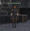Arachagnon