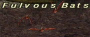 Fulvous Bats