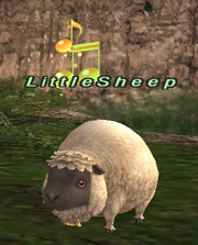 LittleSheep