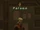 Palson