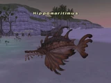 Hippomaritimus