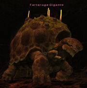 Tartaruga-Gigante