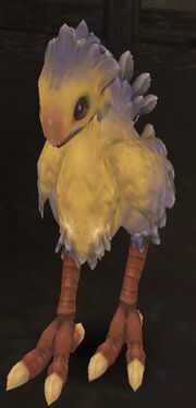 BlueAdolescentChocobo