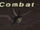 Combat