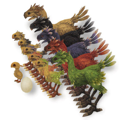 Chocobos.jpg