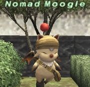 Nomadmoogle1