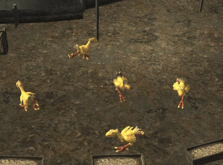 Chocobo Raising/Exercise in a Group FFXIclopedia Fandom