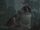 Carrion Toad