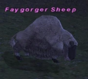 Faygorger Sheep