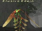 Elusive Edwin