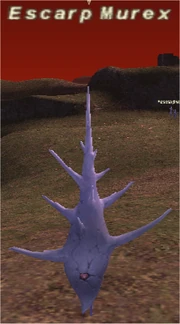 Escarp Murex