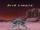 Arid Limule