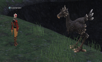 ChocoboTakeWalk