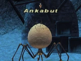 Ankabut