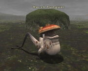 Marsh Funguar