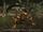 Sedge Scorpion