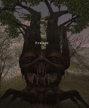 Treant (Monster)