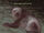 Decayed Flesh