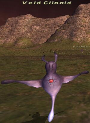 Veld Clionid.jpg
