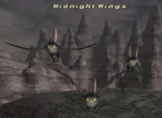 Midnight Wings