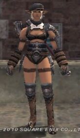 DarksteelHarnessSet.jpg